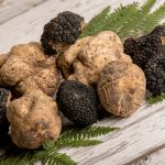 Group of white and black truffles on table
